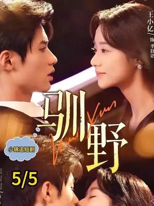 《大明王朝1566》经典海报